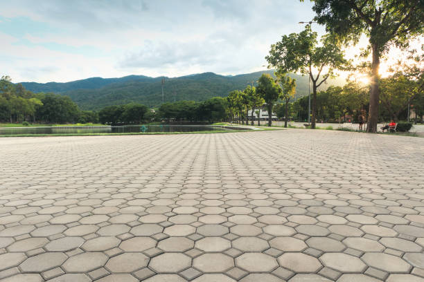 Best Local Driveway Pavers  in Pitman, NJ